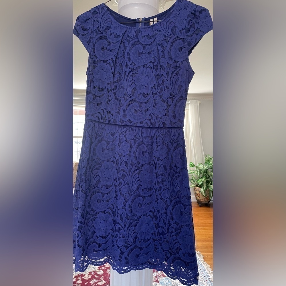 Mi a mi women: Navy blue Lace, short sleeve, knee length 70% cotton dress in L
